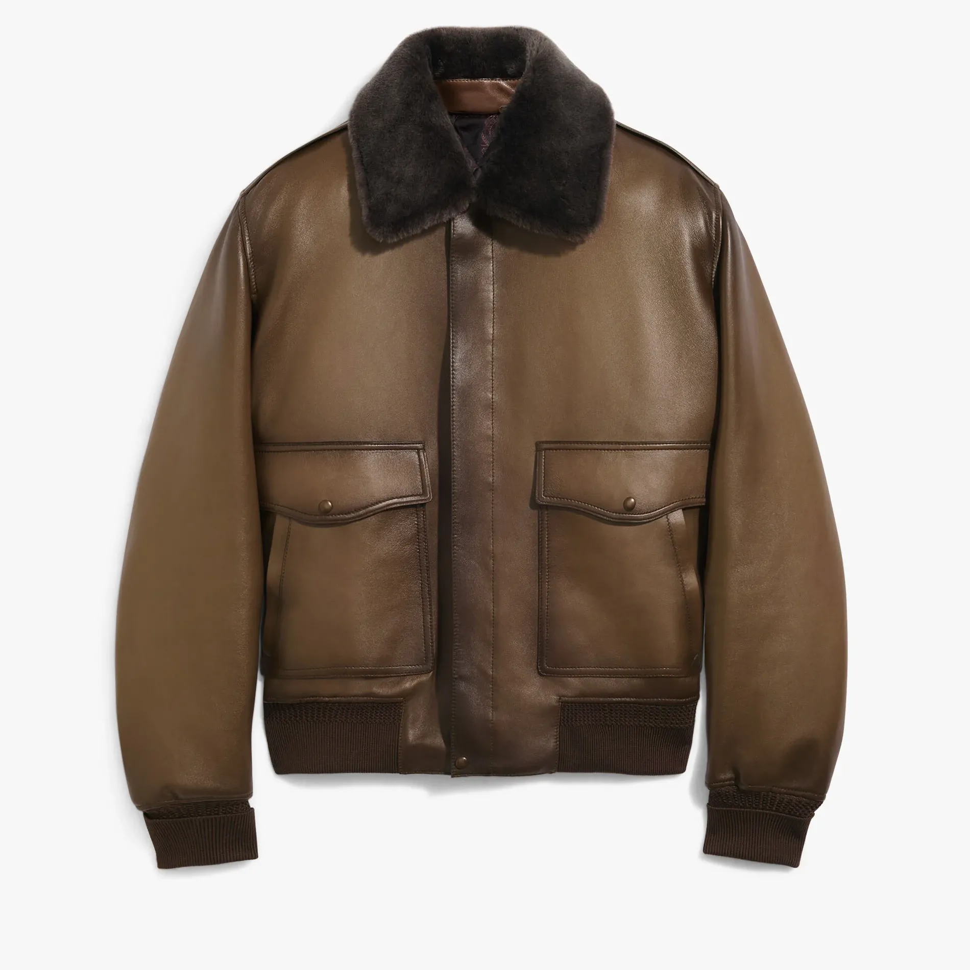 Berluti Blouson Aviateur en Cuir Patiné | Cuir