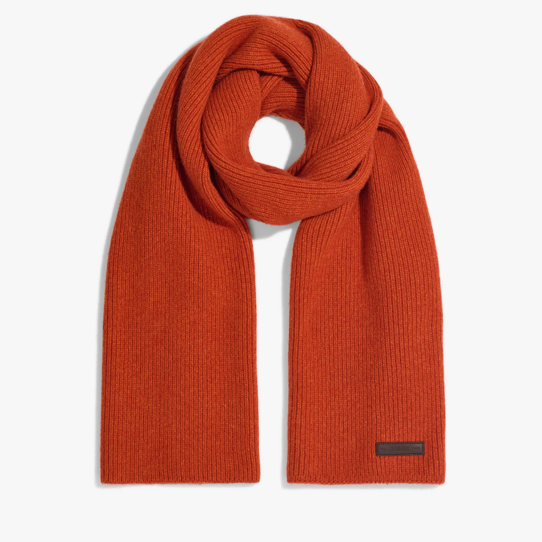 Berluti Écharpe en Cachemire | Écharpes, Gants & Chapeaux
